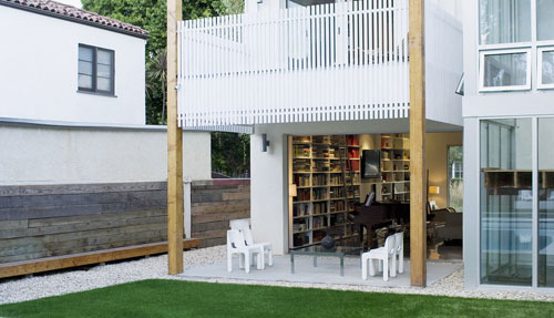 Northern Saw-Whet Owl